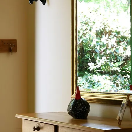 Straubehof Διαμέρισμα Sasbachwalden