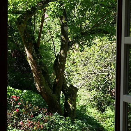 Straubehof Apartment
